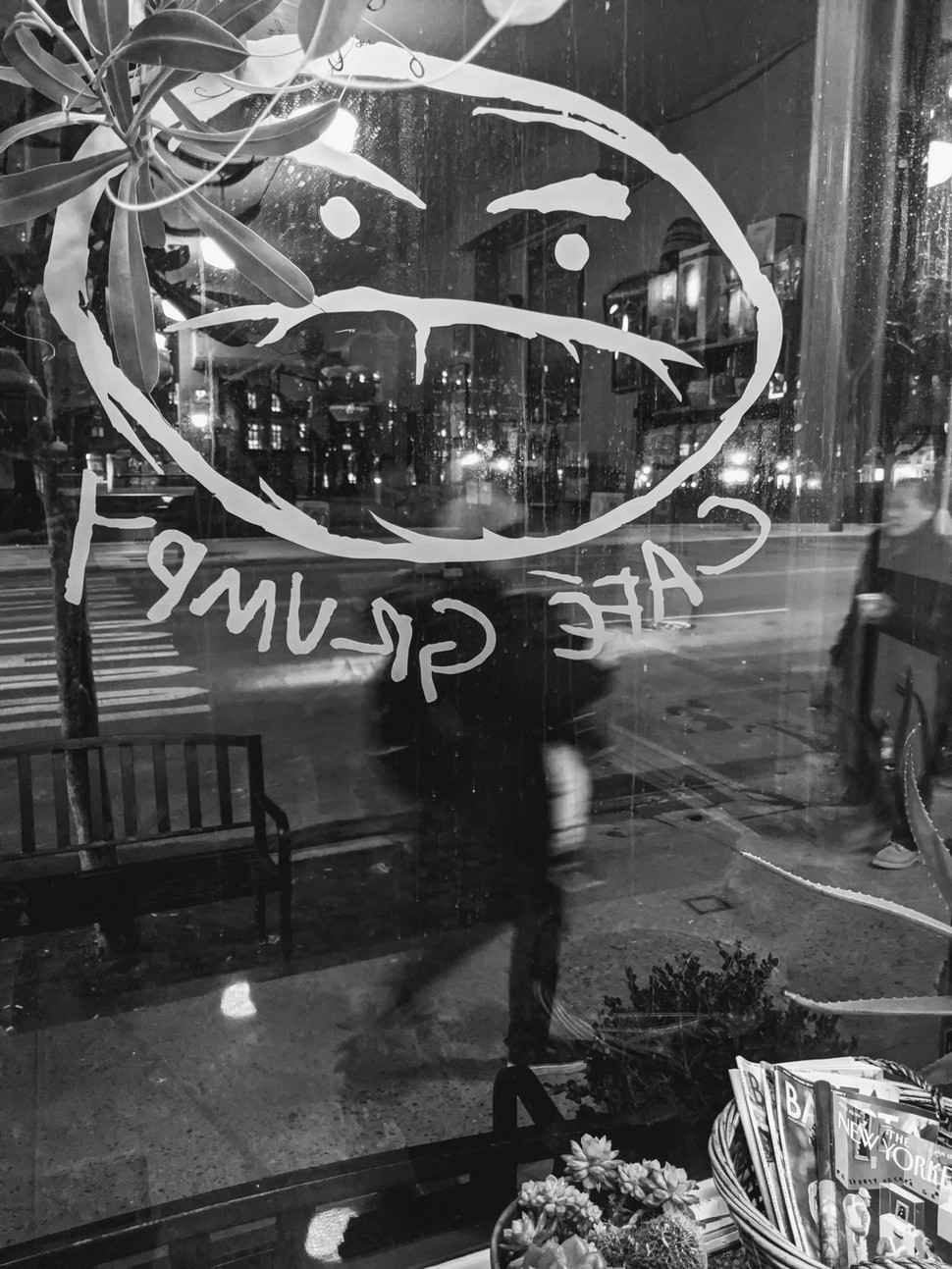 Specialty Coffee In New York