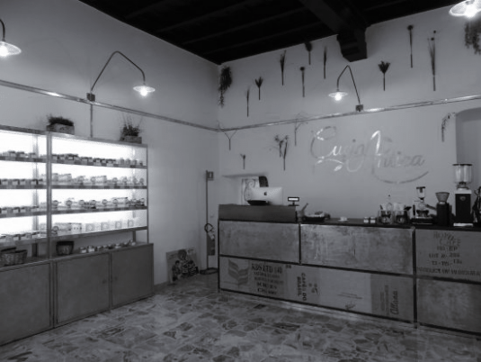 Specialty Coffee made in Como