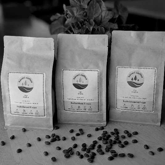 Specialty Coffee Roasters in Berkeley