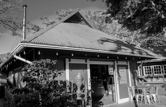 Specialty Coffee Roasters in Maui