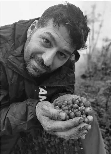 Davide Cobelli