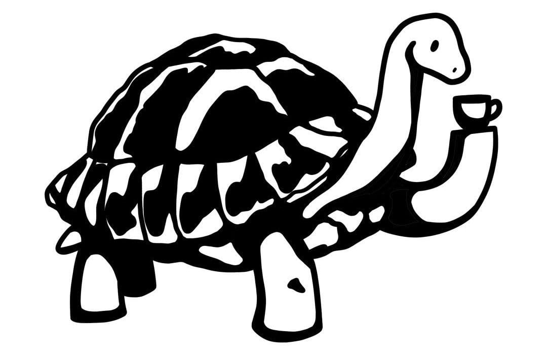 Tortoise Espresso 1 Tortoise Espresso — cover photo