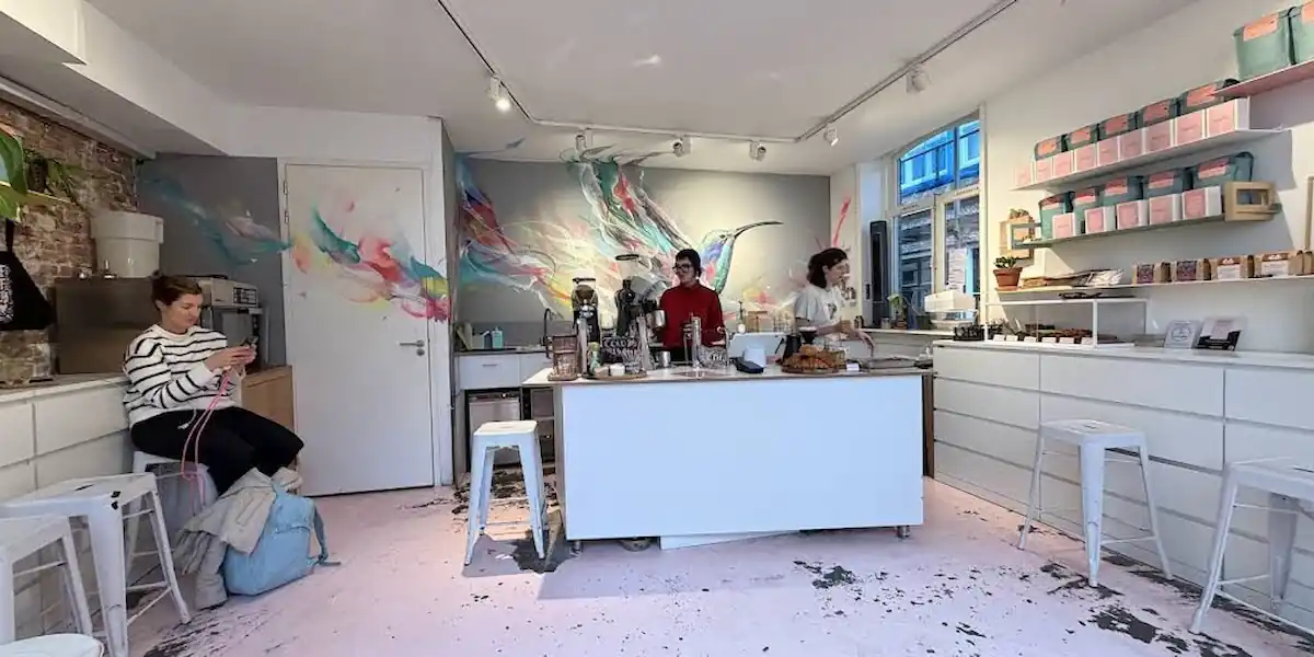 HUMMINGBIRD AMSTERDAM — cover photo