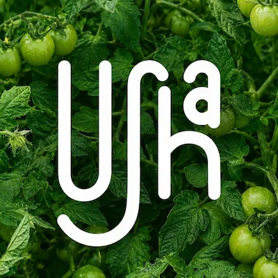 Usha